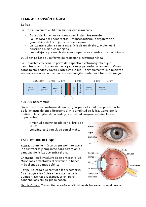 Miniatura del documento TEMA 4 resumido.docx