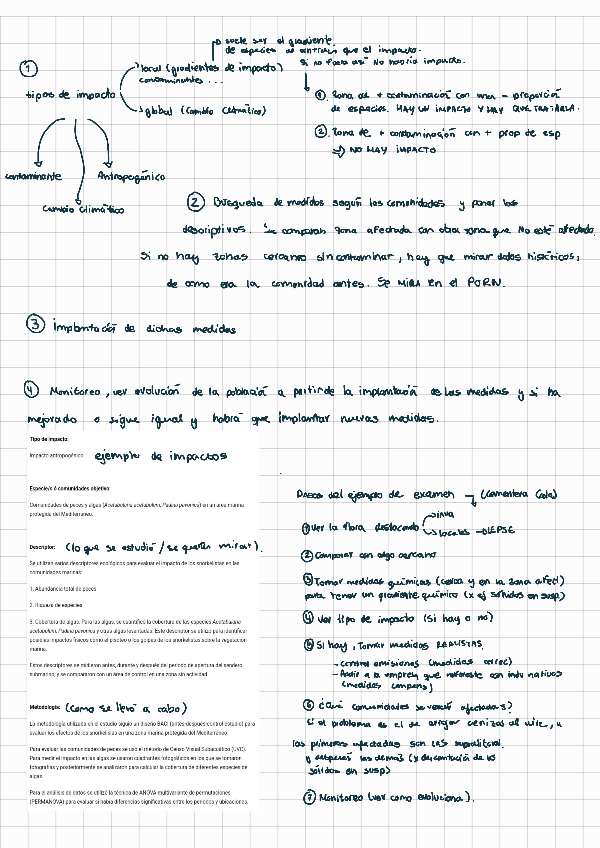 Miniatura del documento CATALOGACION-DE-IMPACTOS-Flora-y-Fauna.pdf