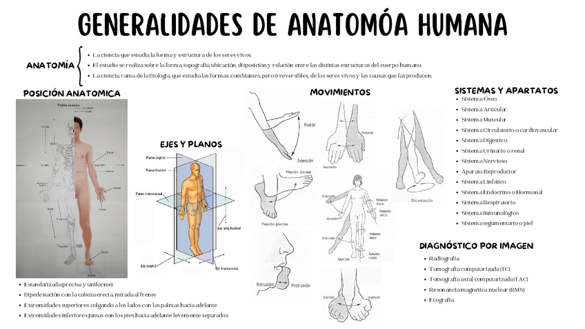 Miniatura del documento ESQUEMAS-los-18-primeros-temas.pdf