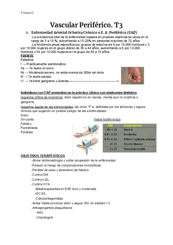 Miniatura del documento T3-VASCULAR-2.pdf