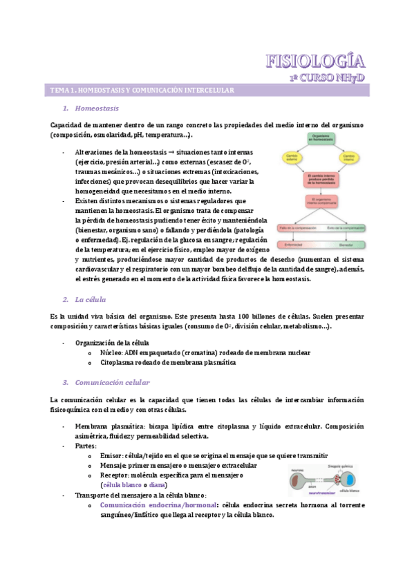 Miniatura del documento Tema-1.-Homeostasis-y-comunicacion-intercelular.pdf