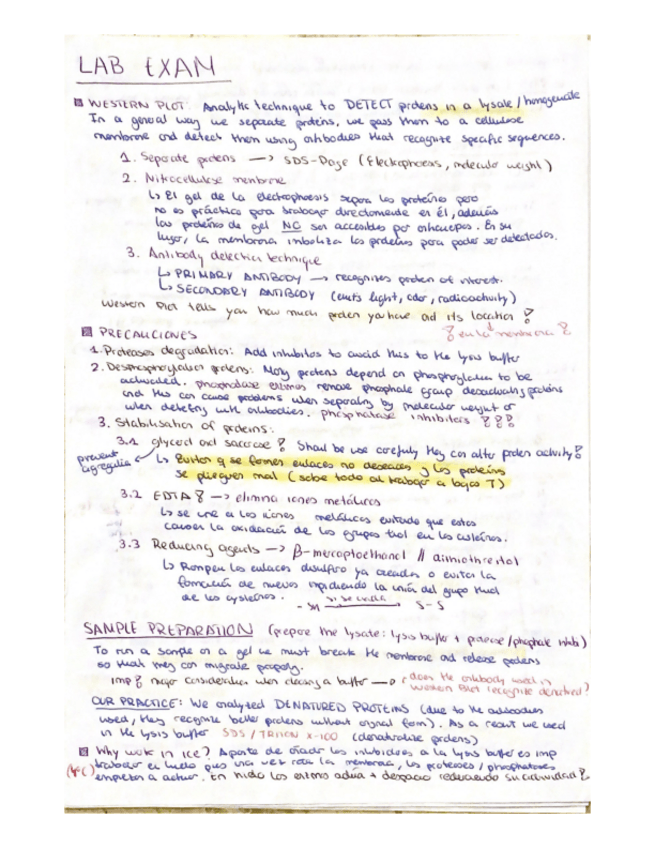 Miniatura del documento LAB-EXAM.pdf