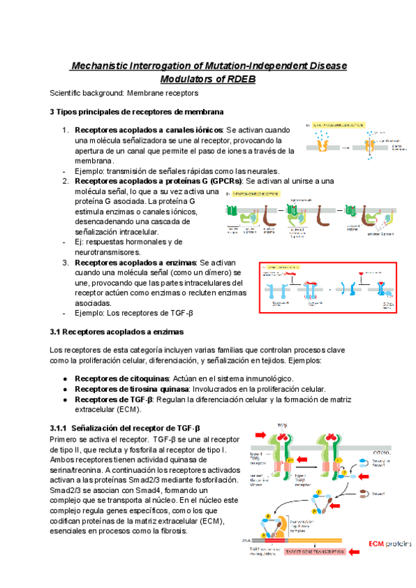 Miniatura del documento RDEB-PAPER-muy-explicado.pdf