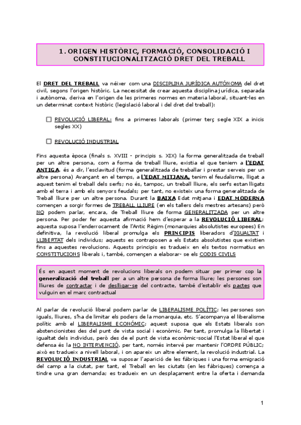 Miniatura del documento Tema-1.-Origen-Històric-Concepte-i-Funcions-del-Dret-del-Treball.pdf