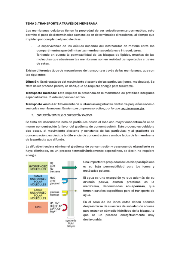 Miniatura del documento TEMA-3-SIST-DE-TRANSPORTE.pdf