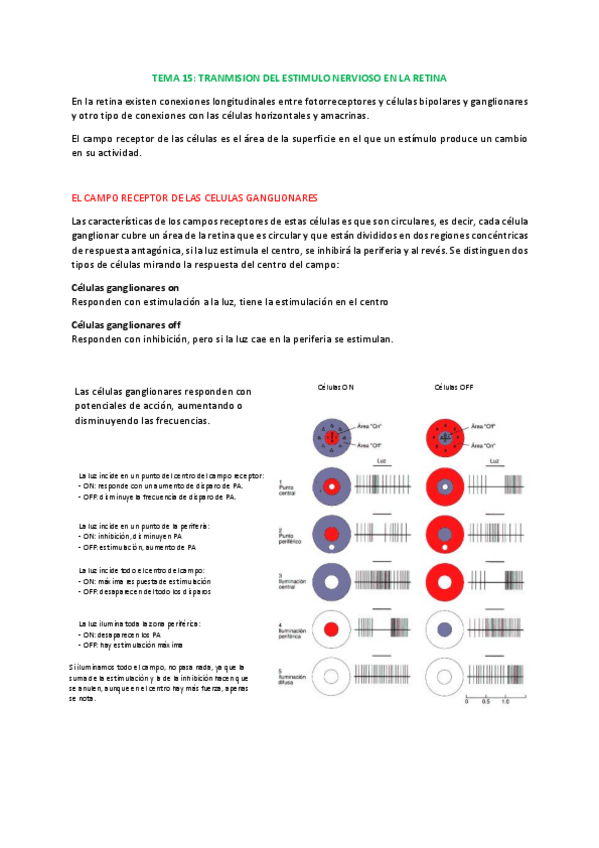 Miniatura del documento 7.Transmision.pdf