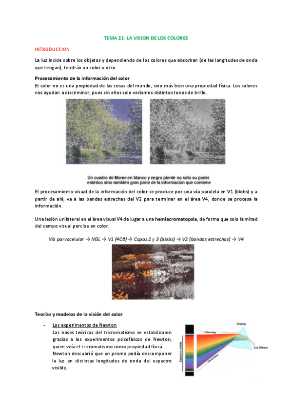 Miniatura del documento 12.Color.pdf