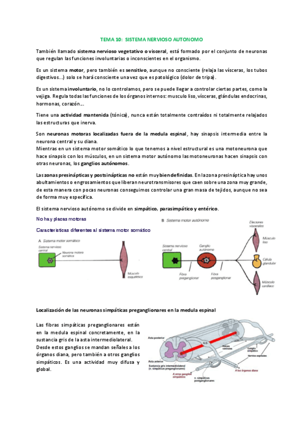 Miniatura del documento 1.sistema-nervioso-autonomo.pdf