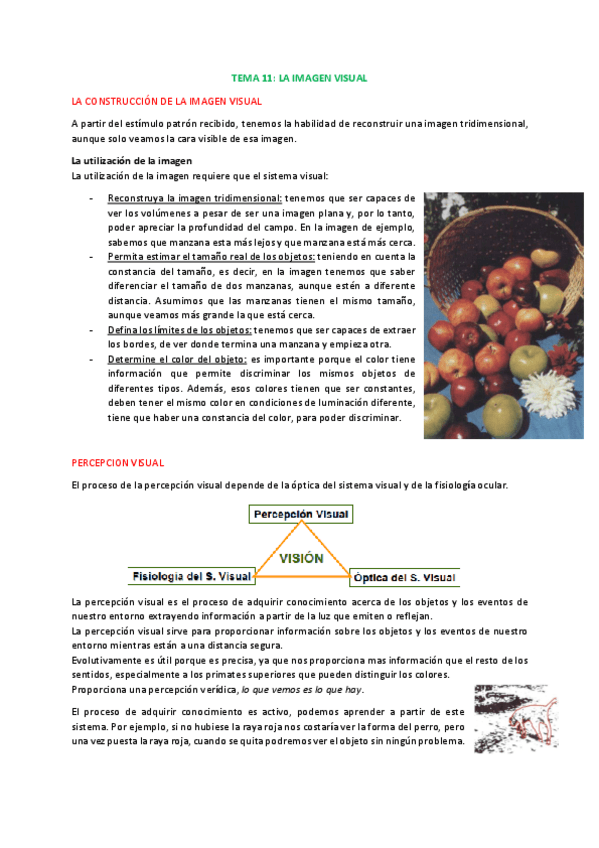 Miniatura del documento 3.La-imagen-visual.pdf