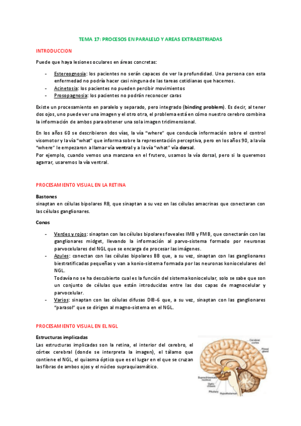 Miniatura del documento 8.Procesamiento-en-paralelo-de-la-informacion-visual.pdf
