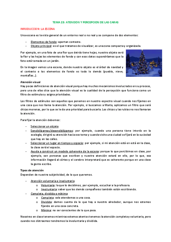 Miniatura del documento 14.Atencicentn-y-percepcicentn-de-las-caras.pdf