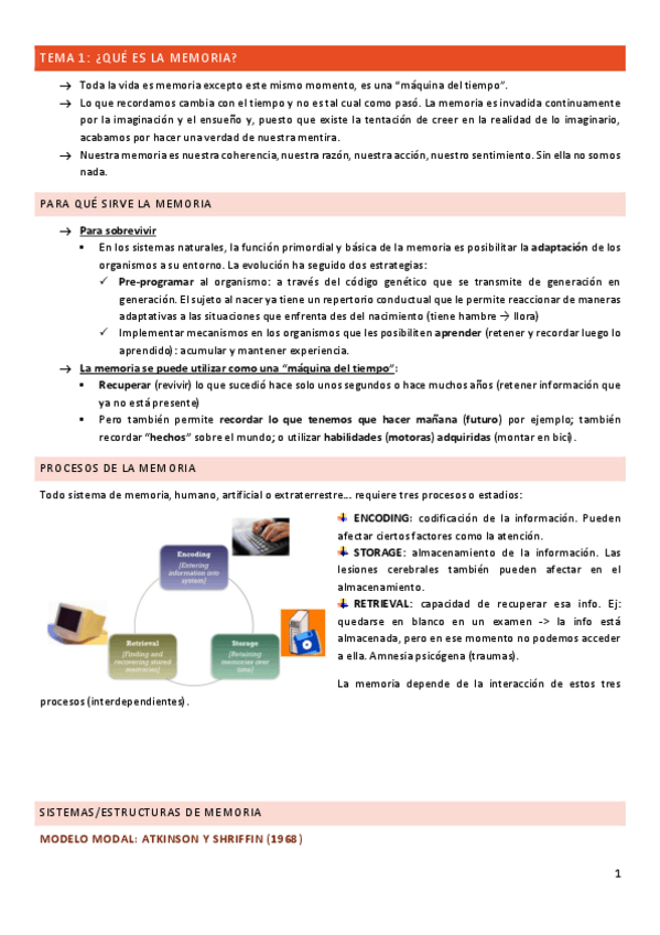 Miniatura del documento MEMORIA-TODO.pdf