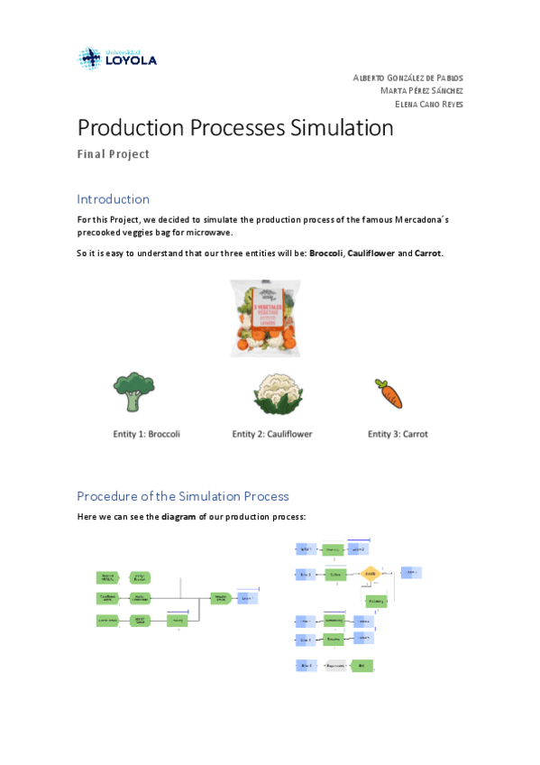 Miniatura del documento TrabajoFinalSimulacion.pdf