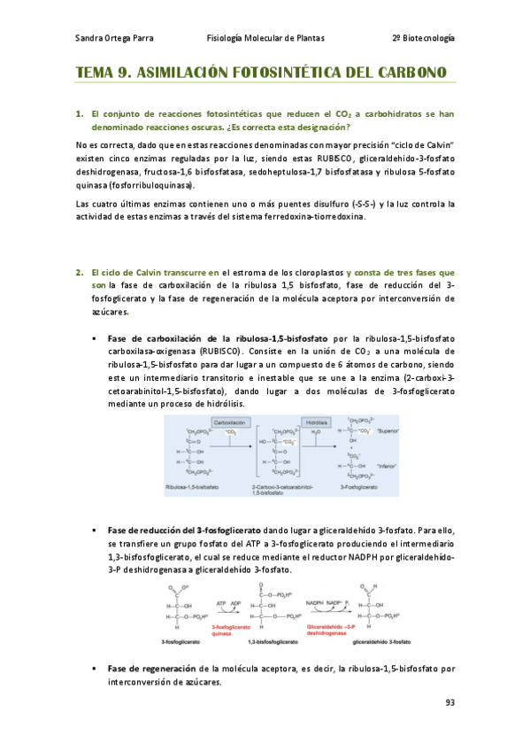 Miniatura del documento APUNTES-T9-FMP-preguntas.pdf