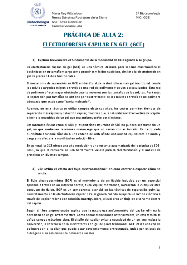Miniatura del documento PA2-MIC.pdf