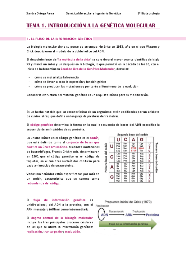 Miniatura del documento APUNTES-T1-GMIG.pdf
