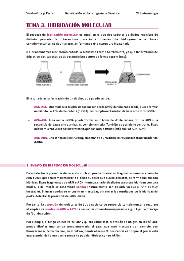 Miniatura del documento APUNTES-T3-GMIG.pdf