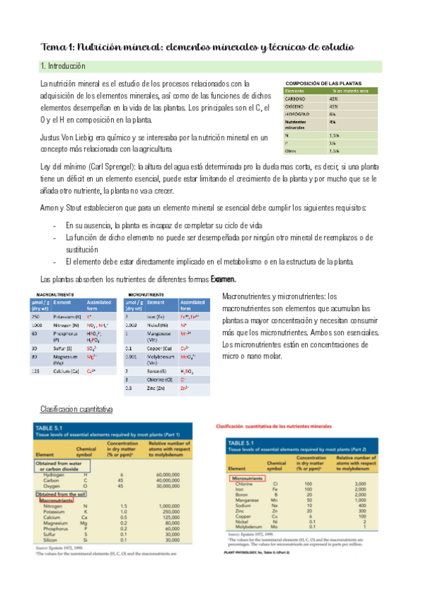 Miniatura del documento Tema-1-fisiologia-vegetal-II.pdf