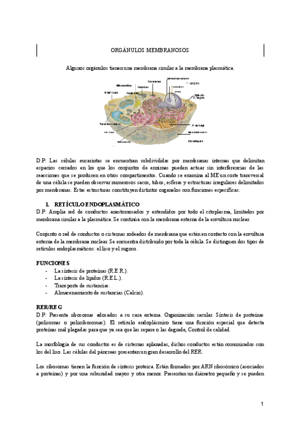 Miniatura del documento ORGANULOS-MEMBRANOSOS.pdf