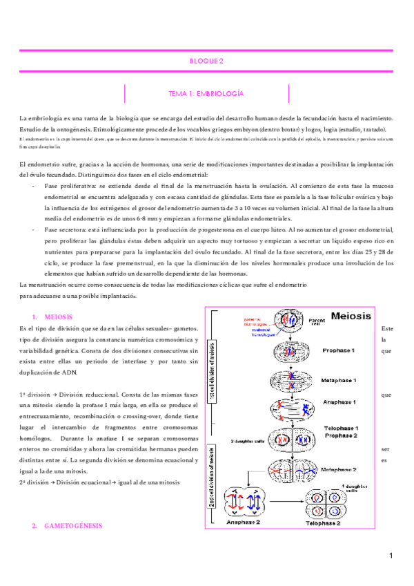 Miniatura del documento BLOQUE-2-3.pdf