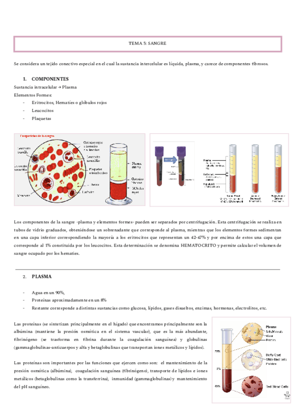 Miniatura del documento SANGRE.pdf
