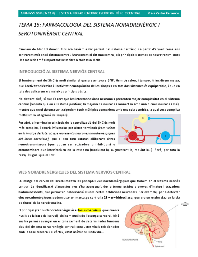 Miniatura del documento 15.-FARMACOLOGIA-DEL-SISTEMA-NORADRENERGIC-I-SEROTONINERGIC-CENTRAL.pdf