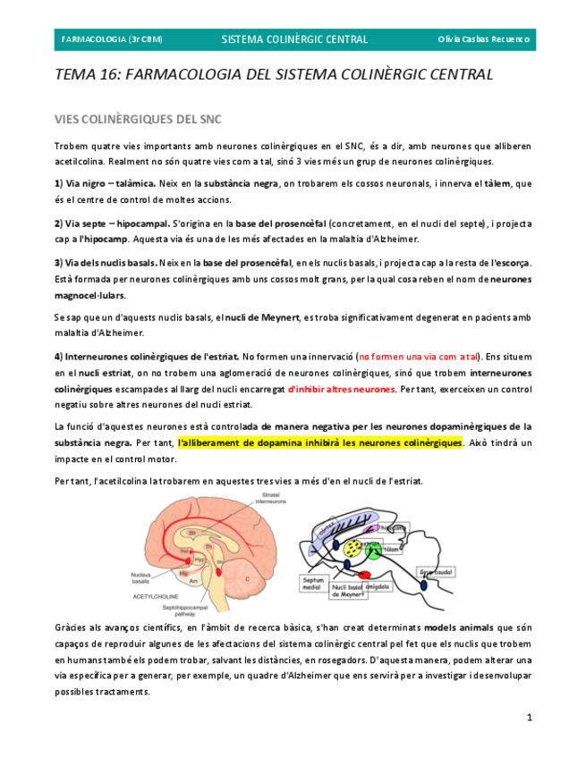 Miniatura del documento 16.-FARMACOLOGIA-DEL-SISTEMA-COLINERGIC-CENTRAL.pdf