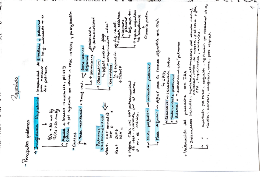 Miniatura del documento Adobe-Scan-20-may-2024.pdf
