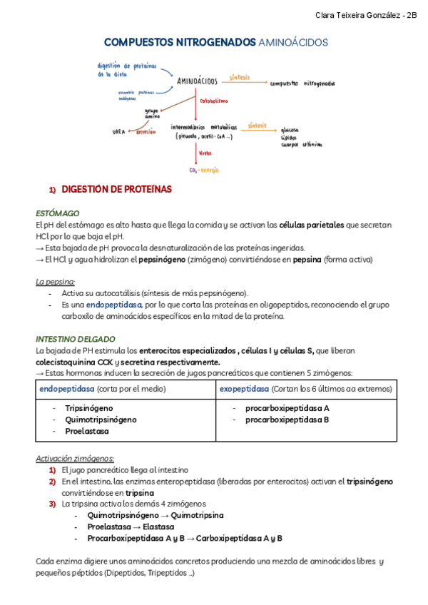 Miniatura del documento COMPUESTOS-NITROGENADOS-AMINOACIDOS.pdf