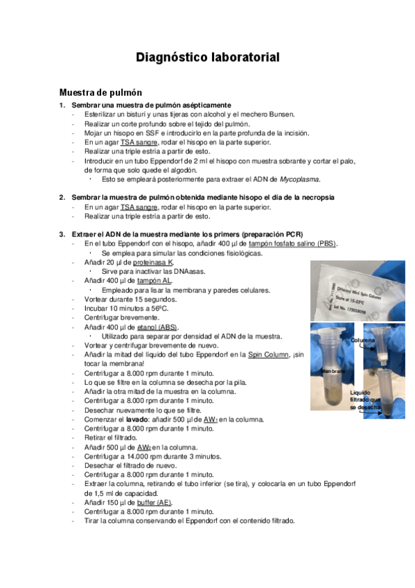 Miniatura del documento Protocolo-de-practicas--seminarios.pdf