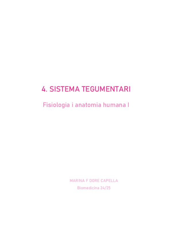 Miniatura del documento 04.-sistema-teugmentari.pdf