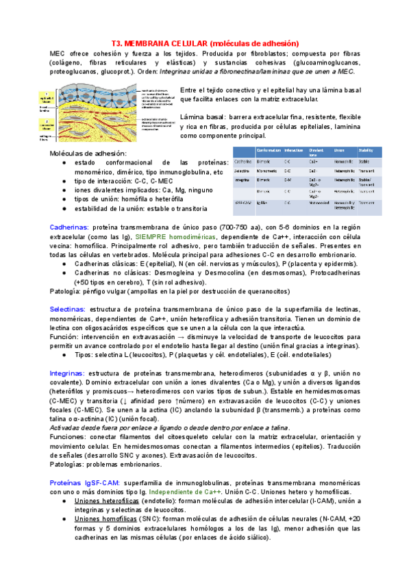 Miniatura del documento Tema-3-Biologia.pdf