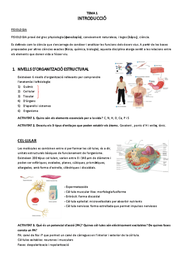 Miniatura del documento T.1introduccio.pdf.pdf