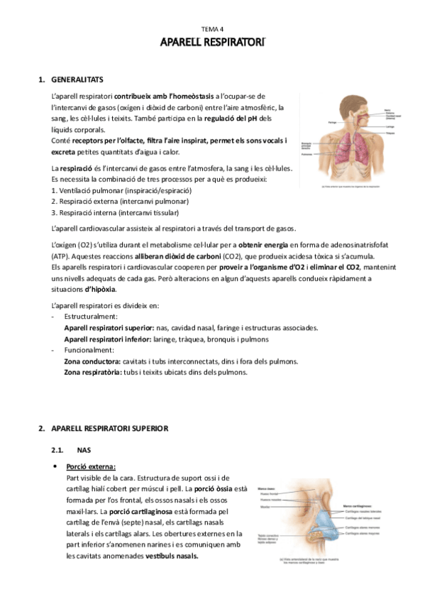 Miniatura del documento T.4sistema-respiratori.pdf