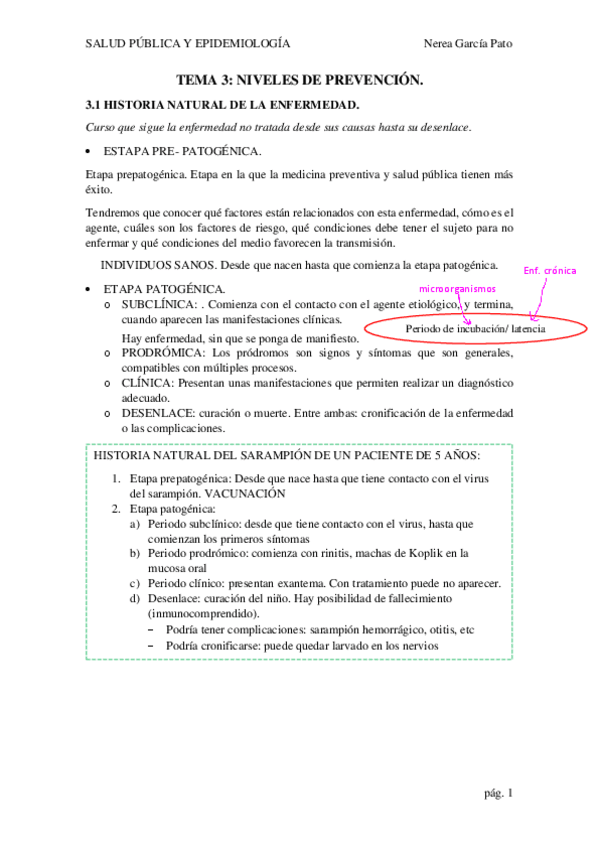Miniatura del documento TEMA-3-NIVELES-DE-PREVENCION.pdf