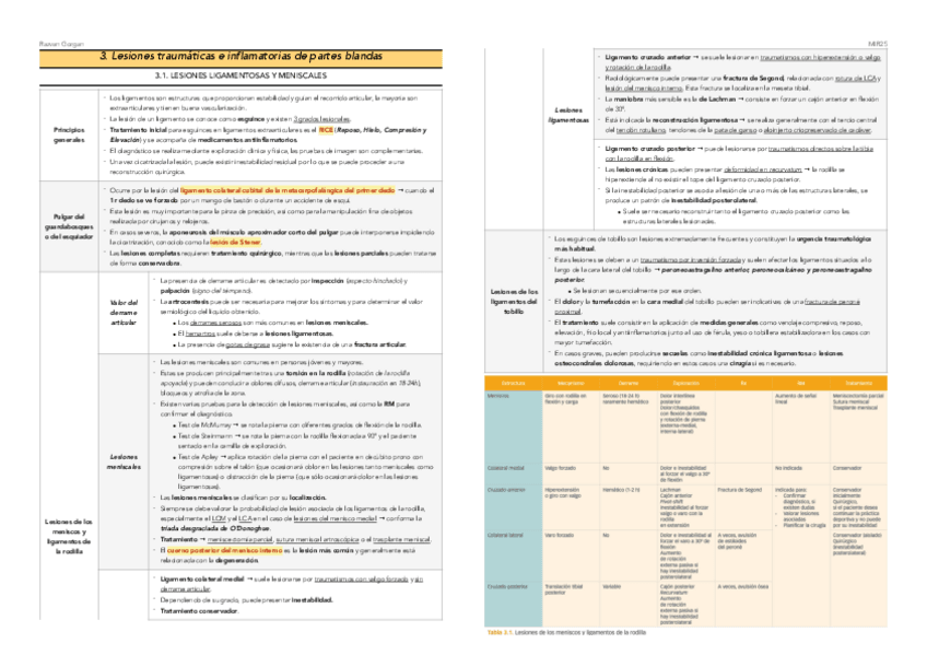 Miniatura del documento 3.-Lesiones-traumaticas-e-inflamatorias-de-partes-blandas.pdf