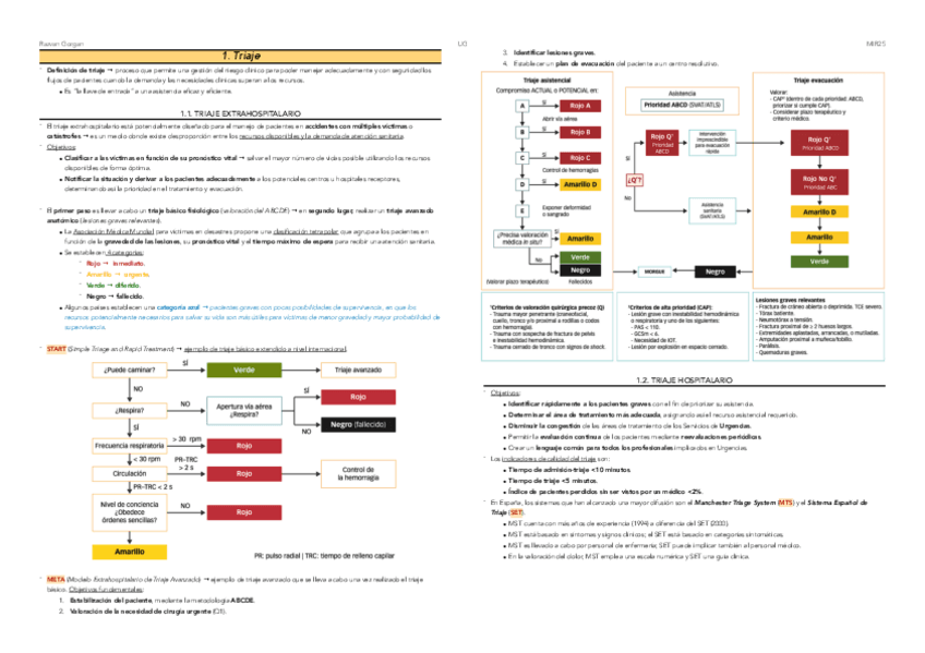 Miniatura del documento 1.-Triaje.pdf