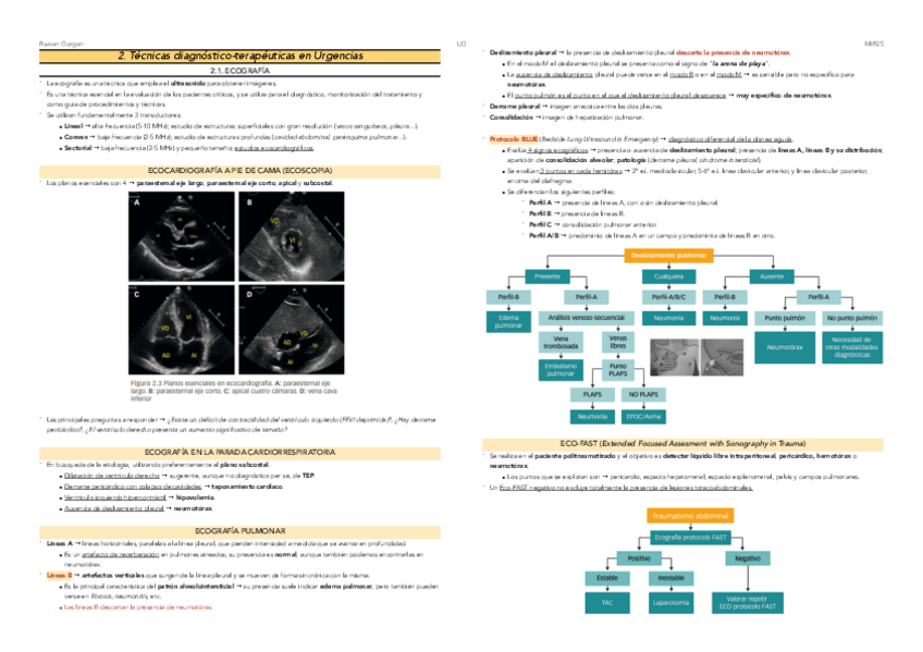 Miniatura del documento 2.-Tecnicas-diagnostico-terapeuticas-en-urgencias.pdf