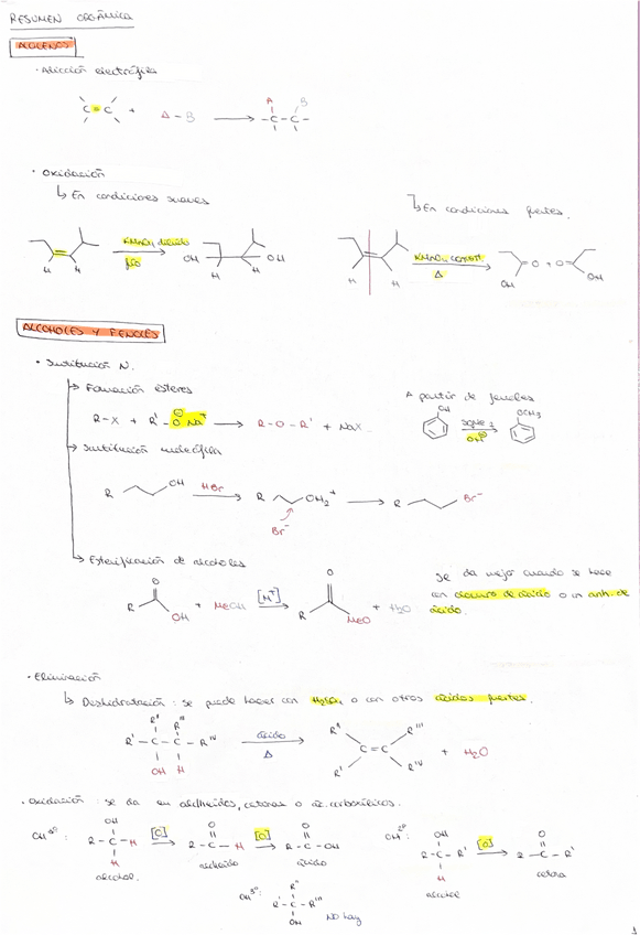 Miniatura del documento APUNTES-ORGANICA.pdf