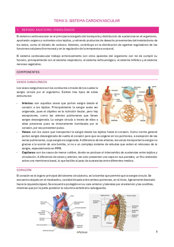 Miniatura del documento Temario-EMQ-II-parte-2-buena.pdf