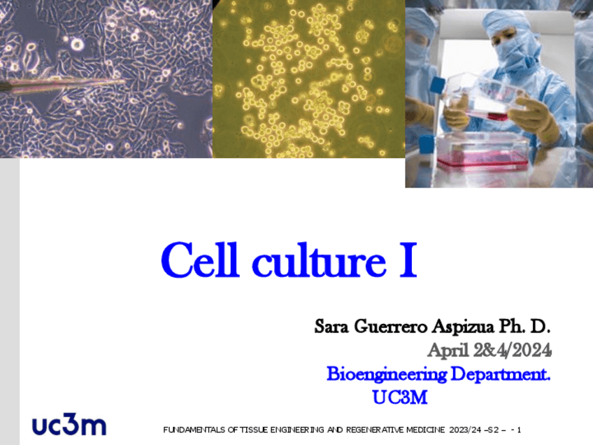 Miniatura del documento slides-cell-con-apuntes.pdf