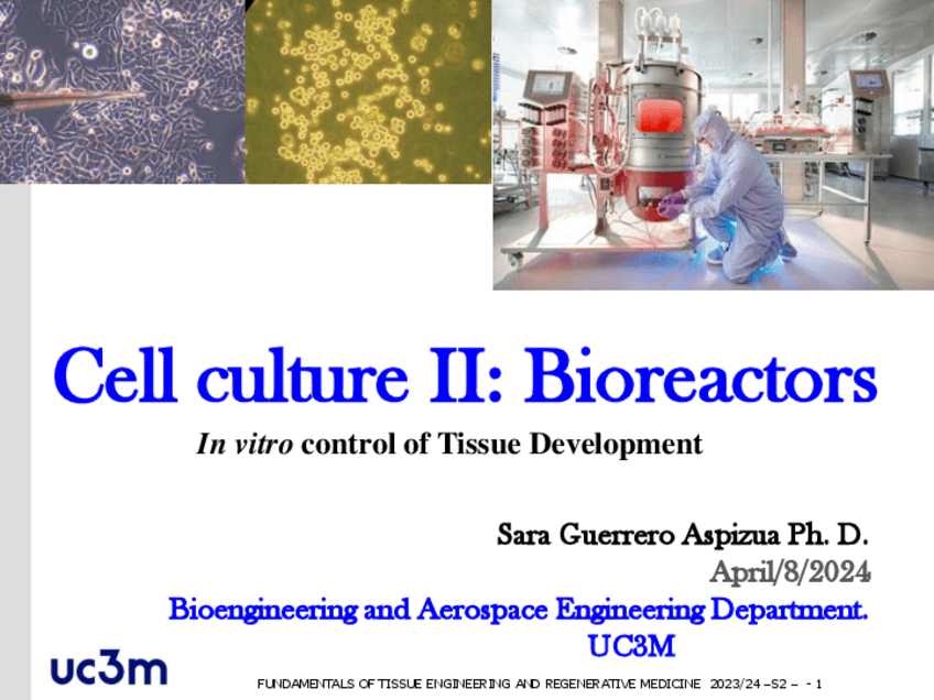 Miniatura del documento slides-cell2-con-apuntes.pdf