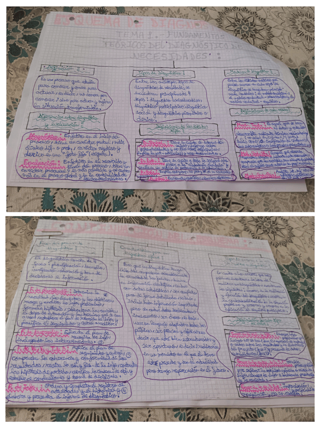 Miniatura del documento Esquema-Tema-1.-Diagnostico.jpg
