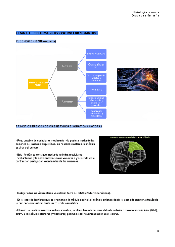 Miniatura del documento Tema-8-fisiologia-humana.pdf