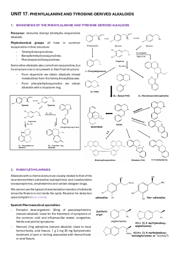 Miniatura del documento UNIT-17-PHENYLALANINE-AND-TYROSINE-DERIVED-ALKALOIDS.pdf