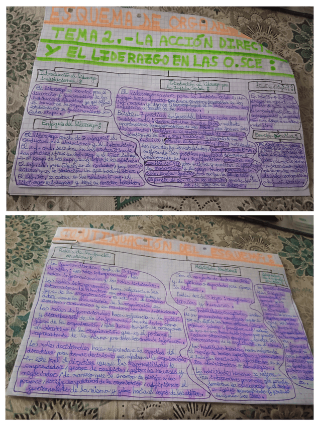 Miniatura del documento Esquema-Tema-2.-Organizacion.jpg