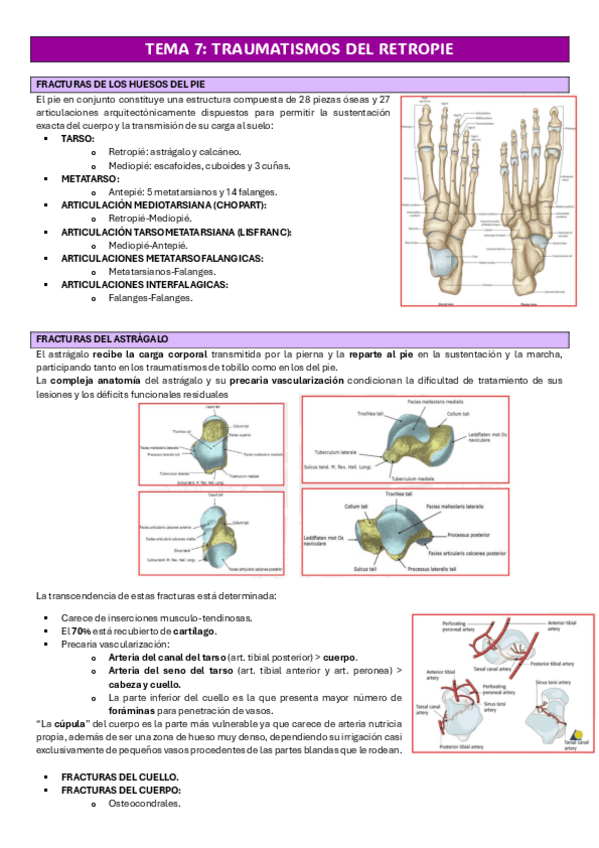 Miniatura del documento TEMA-7-CIRUGIA-TRAUMATOLOGIA-Y.pdf