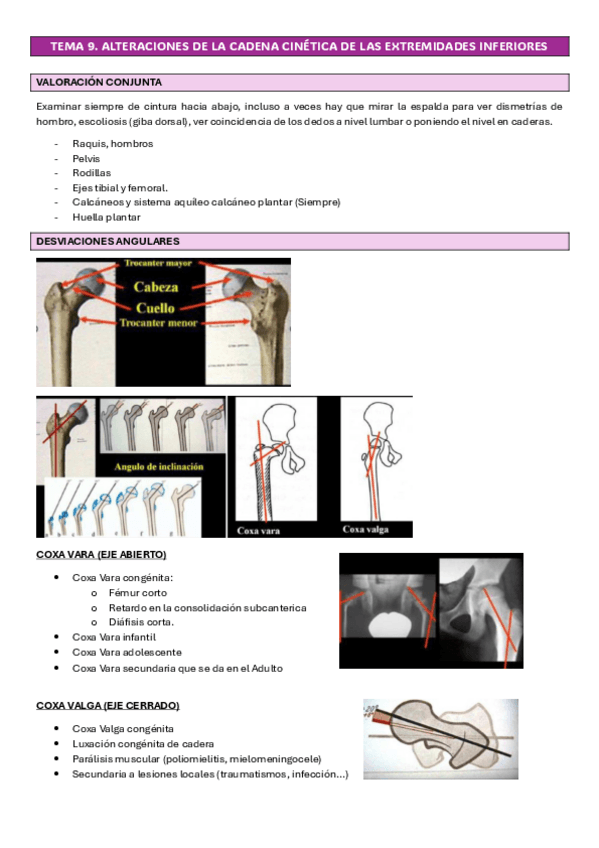 Miniatura del documento TEMA-9-CIRUGIA-TRAUMA-EXTREMIDAD-INFERIOR.pdf