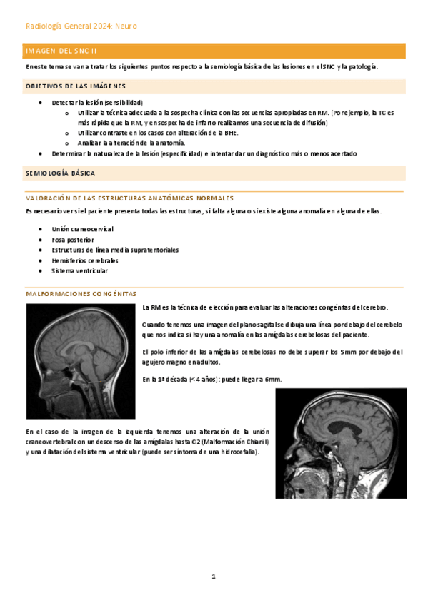 Miniatura del documento Imagen-del-SNC-II.pdf