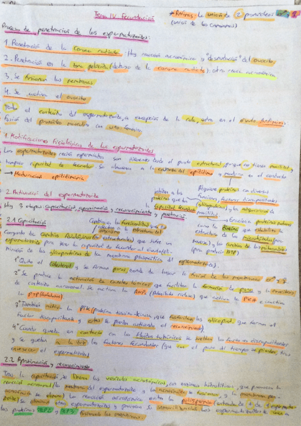 Miniatura del documento Tema-4-resumen-teoria-practicas.pdf